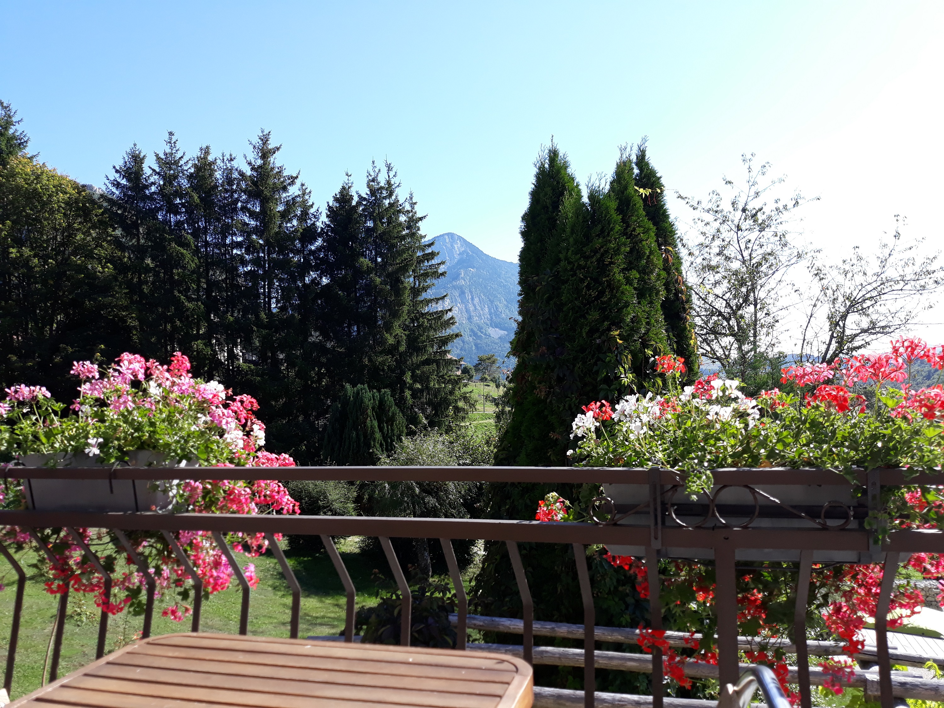 Hotel le marronier