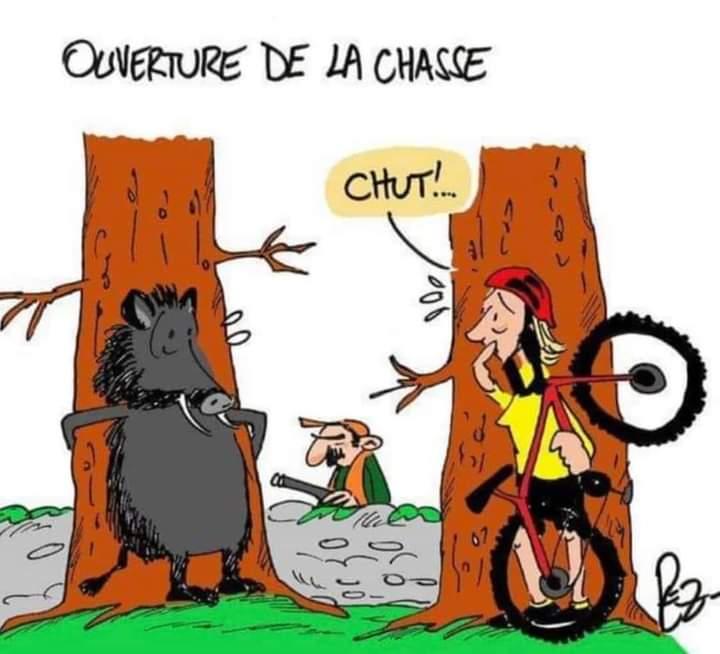 Ouverture de la chasse