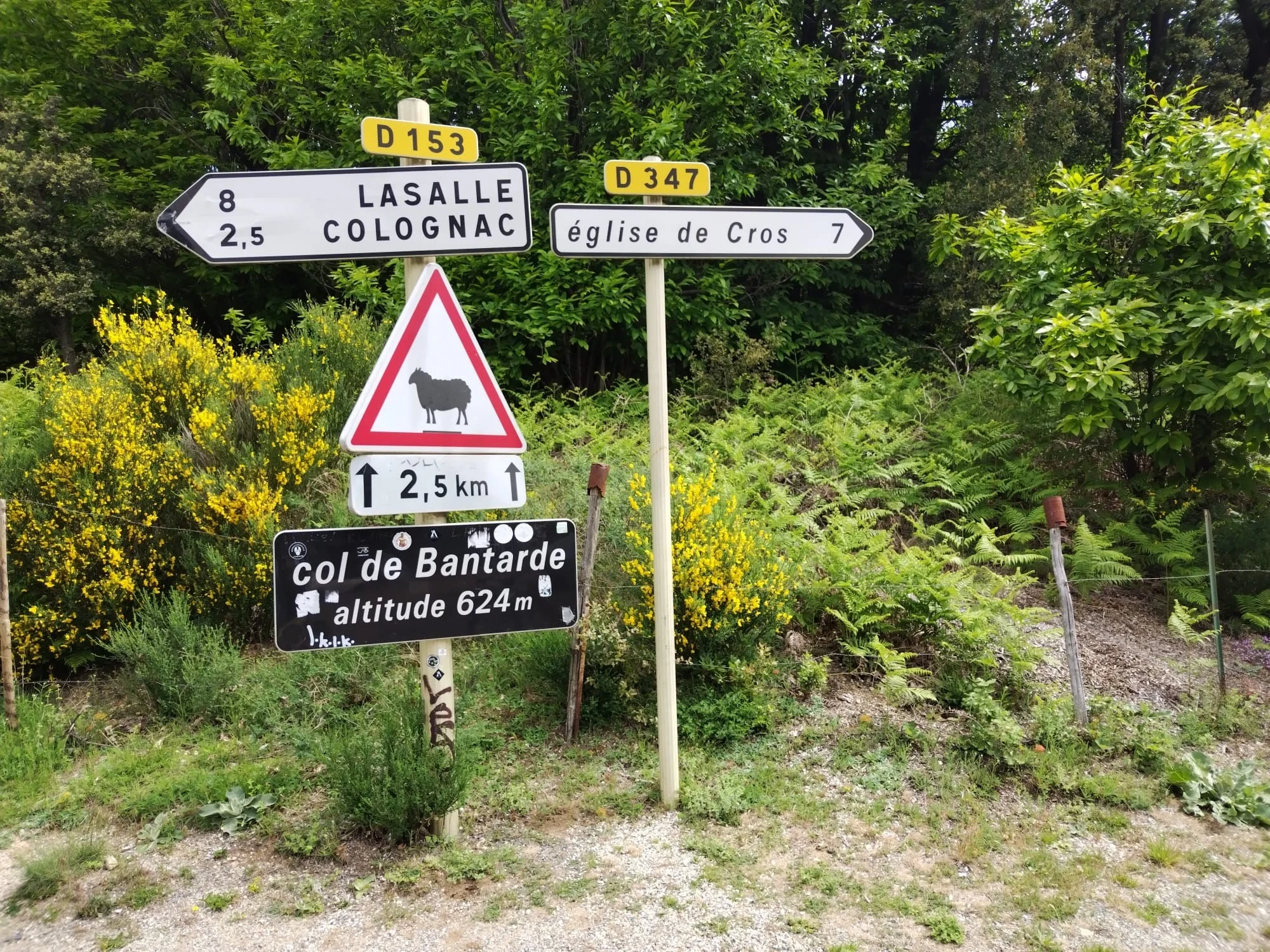 Col de bantarde