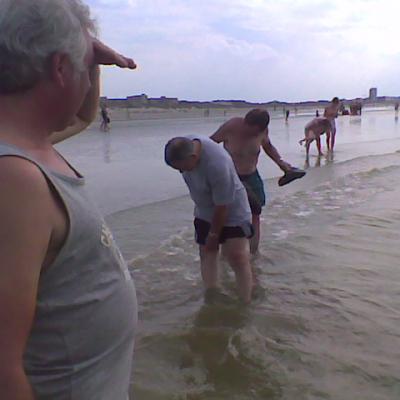 Année 2008