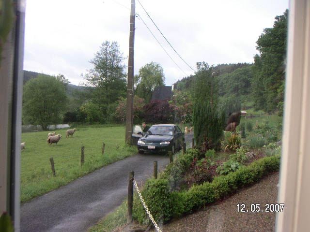 PICT0044
