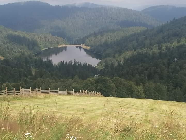 Fb img 1725004474775